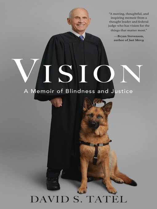 Cover image for Vision